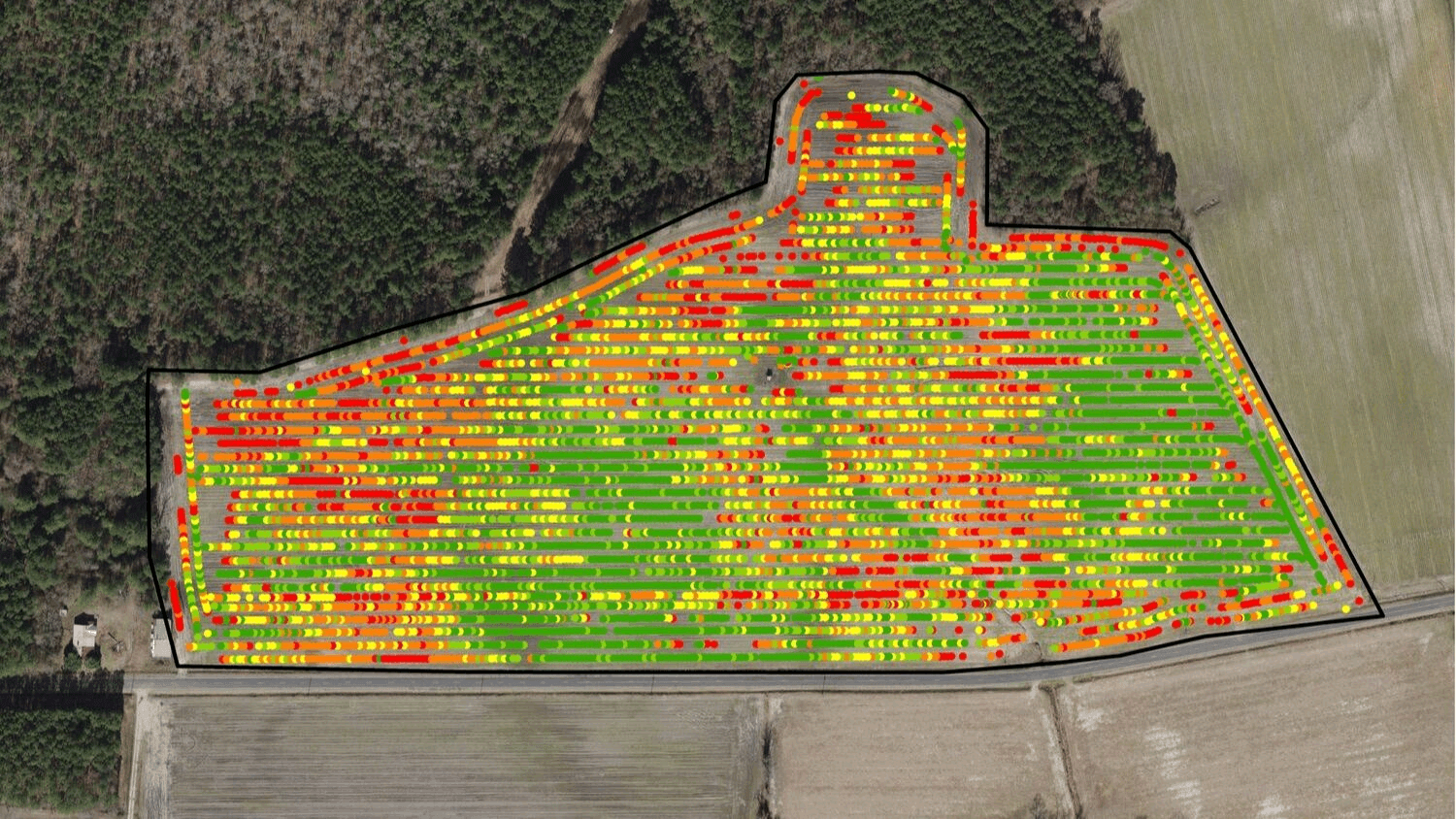Crop Health Monitoring & Scouting