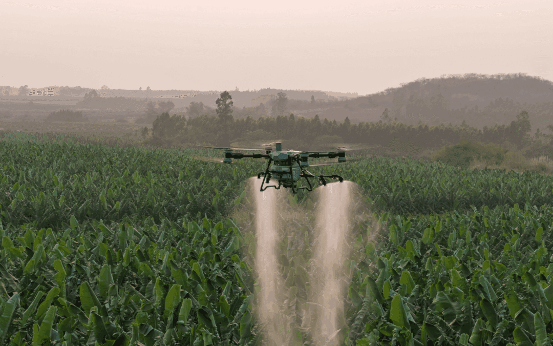 Precision Drone Spraying