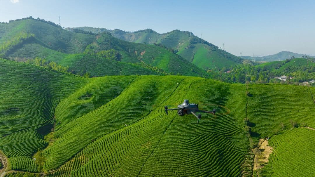 Blog post content image