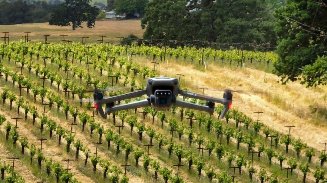 Blog post content image