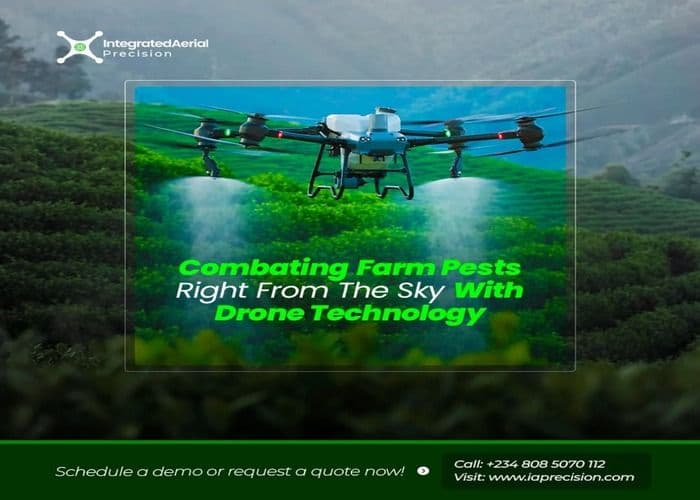 Blog post content image