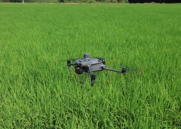 Blog post content image