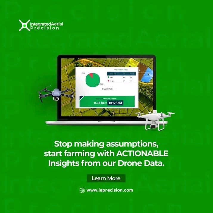 Blog post content image