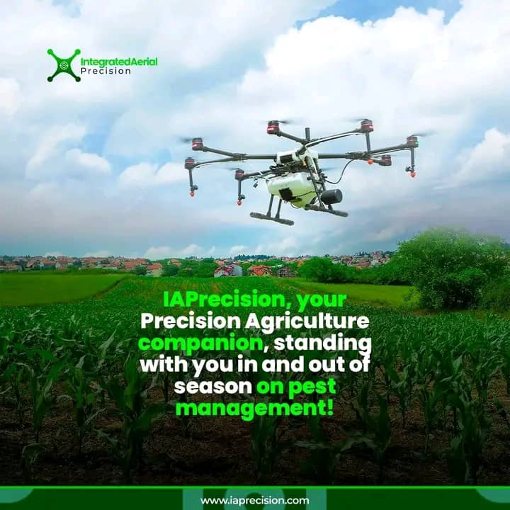 Blog post content image