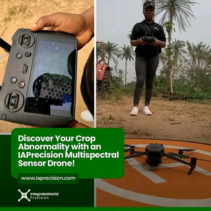 Blog post content image