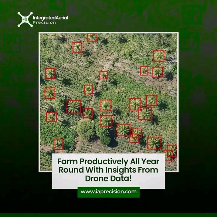 Blog post content image