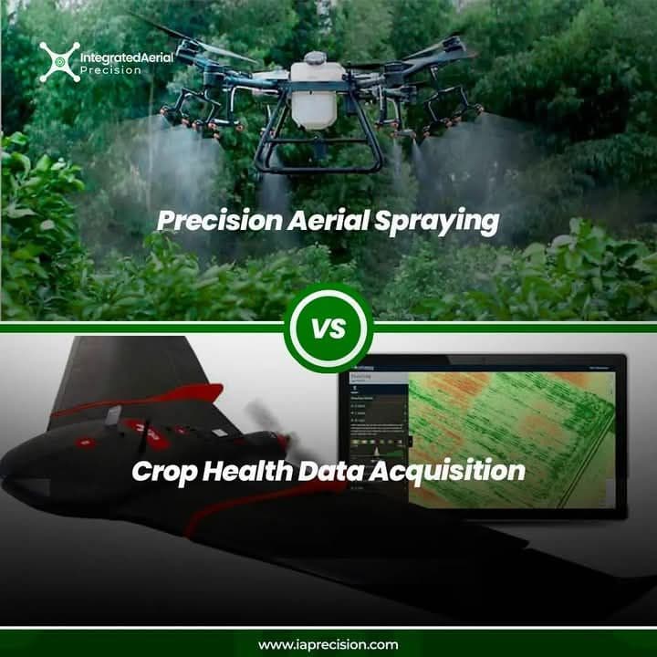 Blog post content image