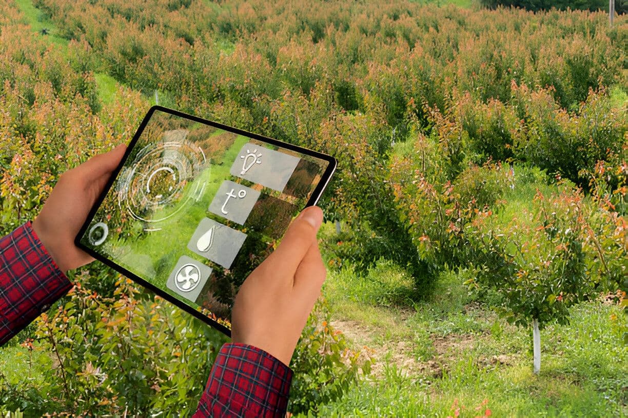 Blog post content image