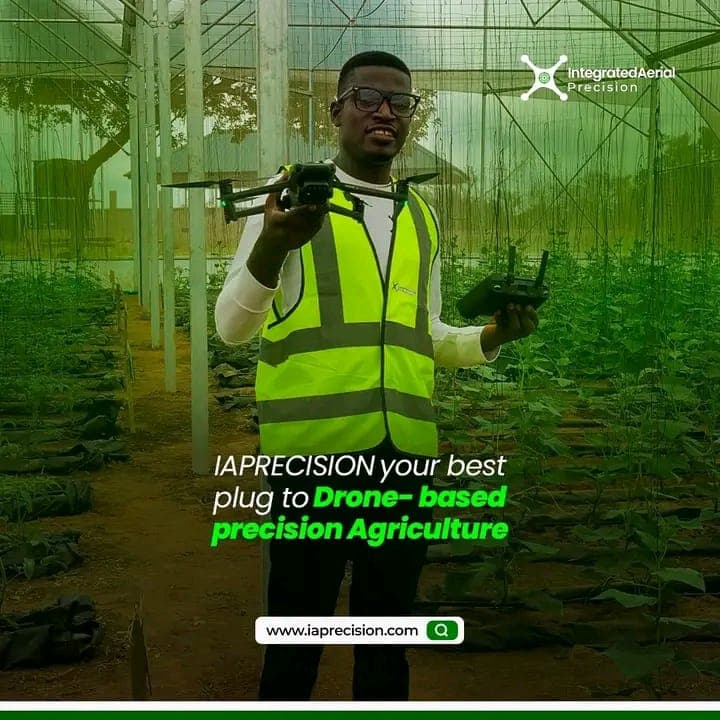 Blog post content image