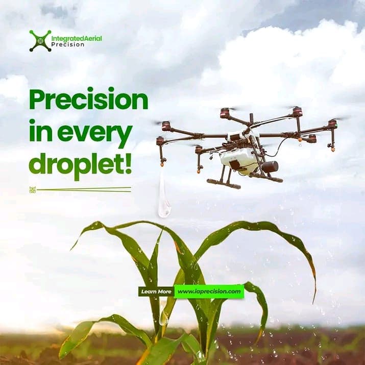 Blog post content image