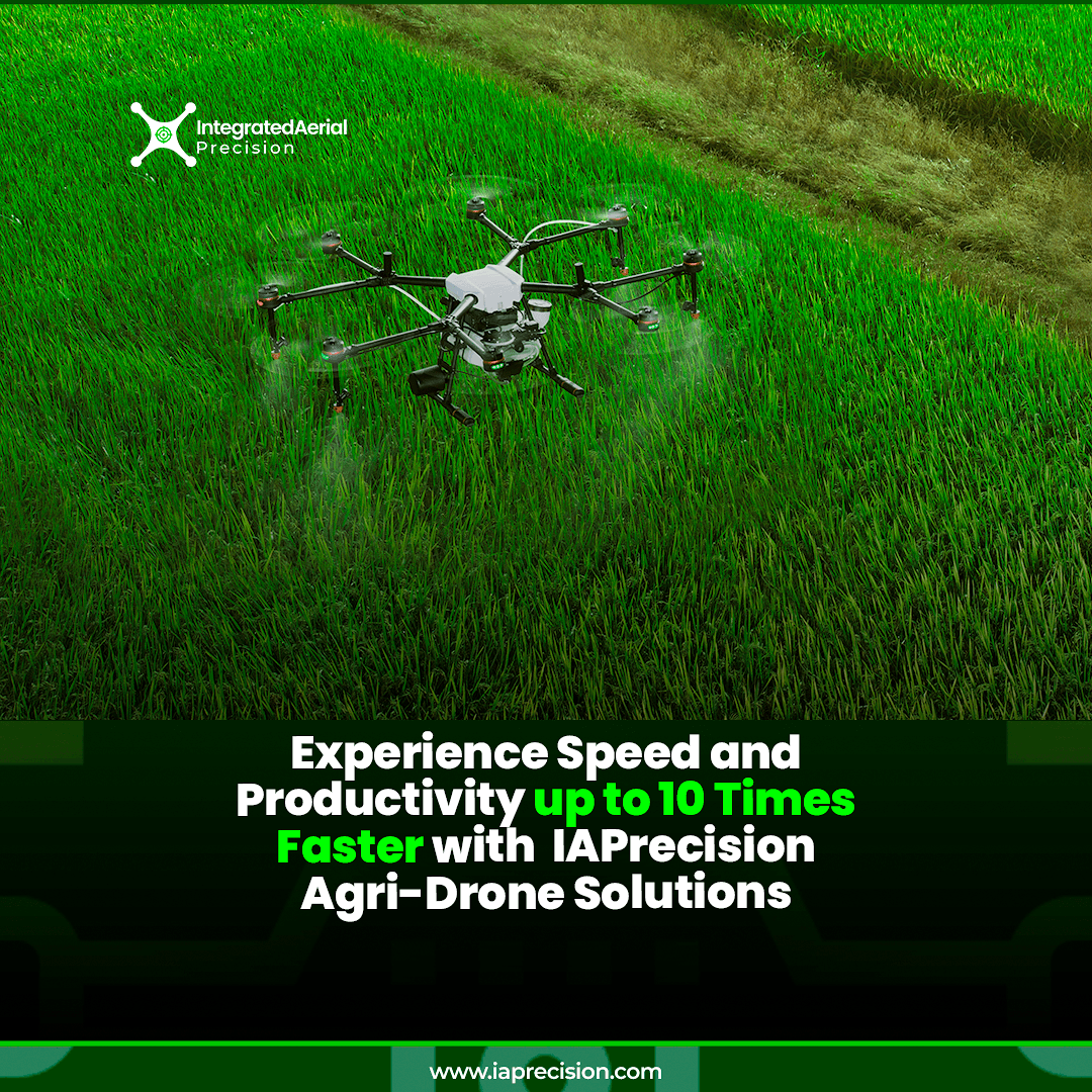 Blog post content image