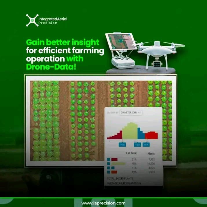 Blog post content image