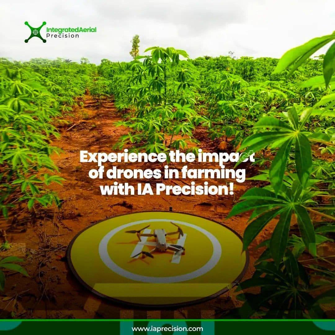 Blog post content image