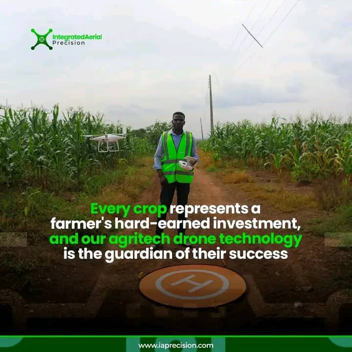 Blog post content image